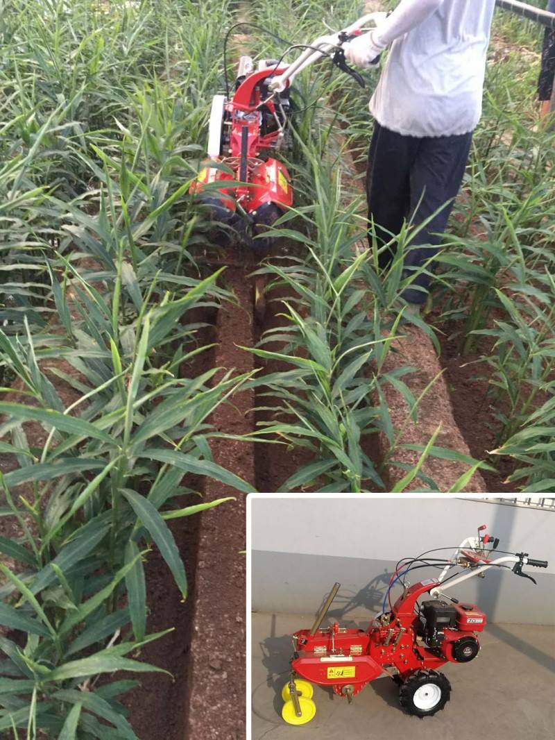 国产半导体实验仪器突破记:从实验室到产线的最后一公里